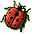 WB_ladybug.gif (1830 bytes)