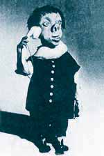 Bluebottle string puppet